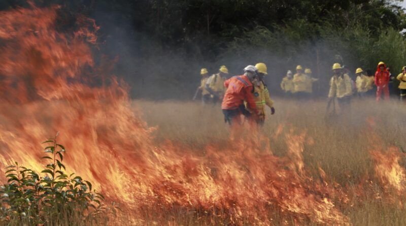 Em Caseara, Naturatins finaliza capacitação da brigada com prática de combate a incêndios florestais