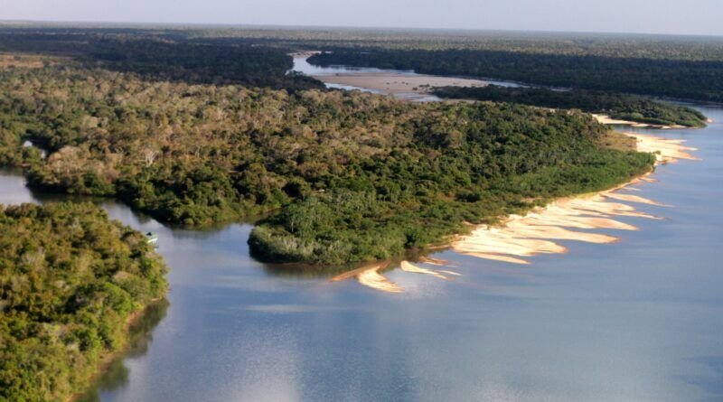 MPTO apura irregularidade ambiental de imóveis situados em área da APA Ilha do Bananal/Cantão