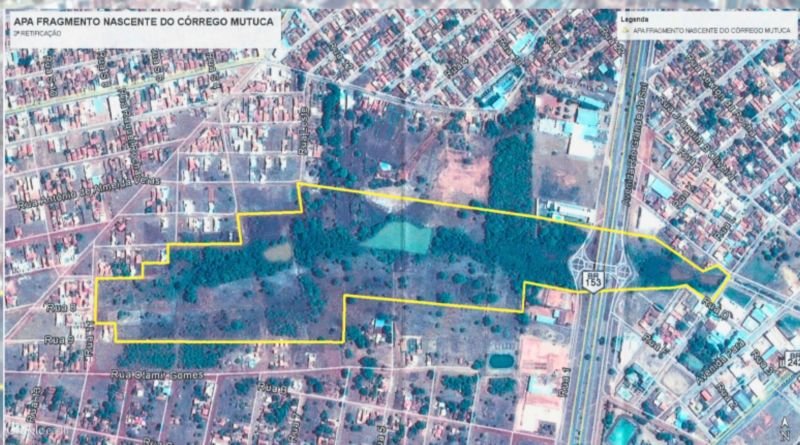 Área desmatada em Unidade de Conservação de Gurupi deve ser recuperada após atuação do MPTO