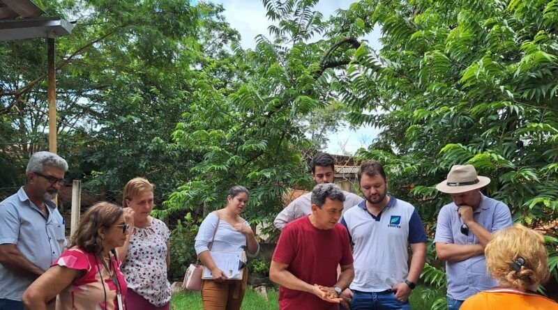 Governo do Tocantins é parceiro no curso de meliponicultura, em Goiânia, realizado pela Emater Goiás.