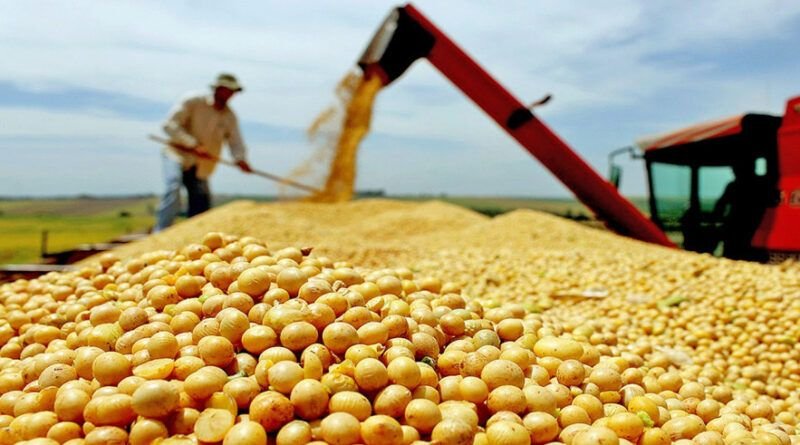 Governo do Tocantins fomenta agronegócio e Estado se torna o maior produtor de grãos da região Norte