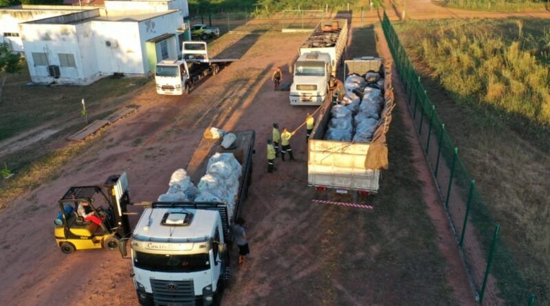 Materiais fósseis são repatriados ao Tocantins e enviados para Bielândia
