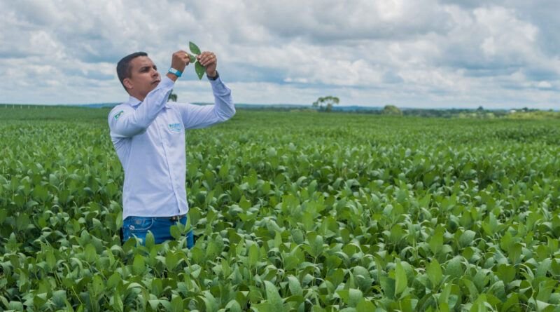 Adapec registra crescimento de 19,5% na safra 2022/2023 em áreas de plantio de soja