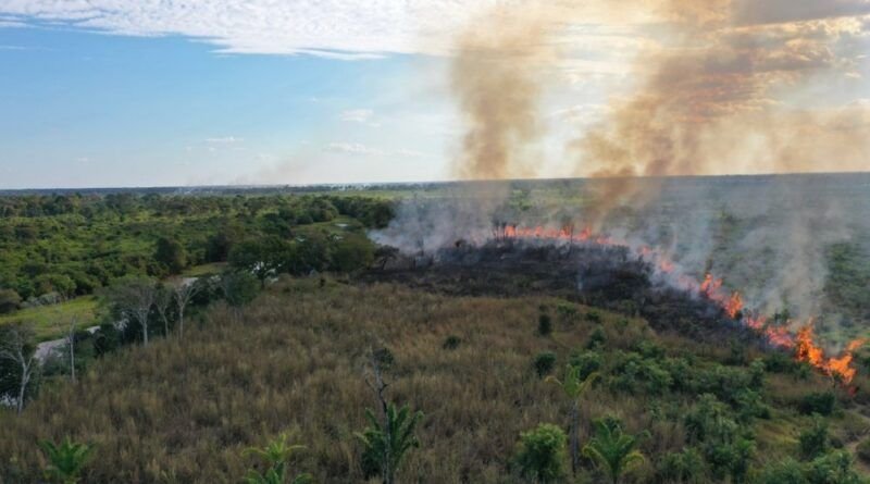 Naturatins suspende autorização para queima controlada no Estado