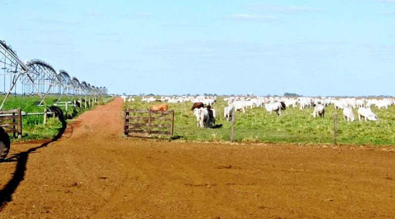 Agropecuaristas e parceiros destacam importância da Rota da Pecuária para os produtores rurais tocantinenses