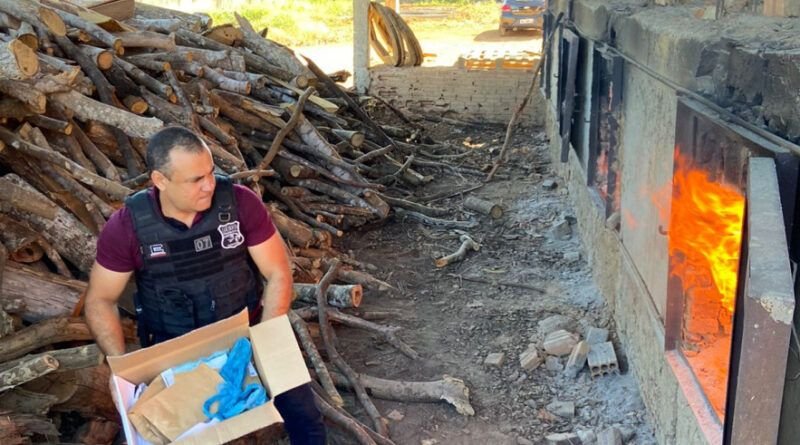 Polícia Civil incinera drogas apreendidas