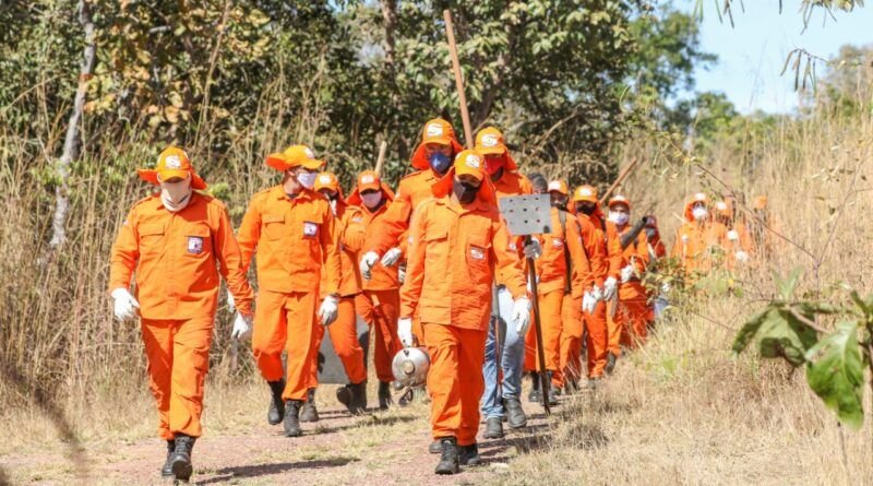 Corpo de Bombeiros abre inscrições para brigadistas florestais