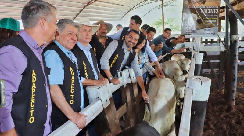 Governo do Tocantins lança penúltima campanha de imunização da aftosa e destaca que Estado está livre da doença