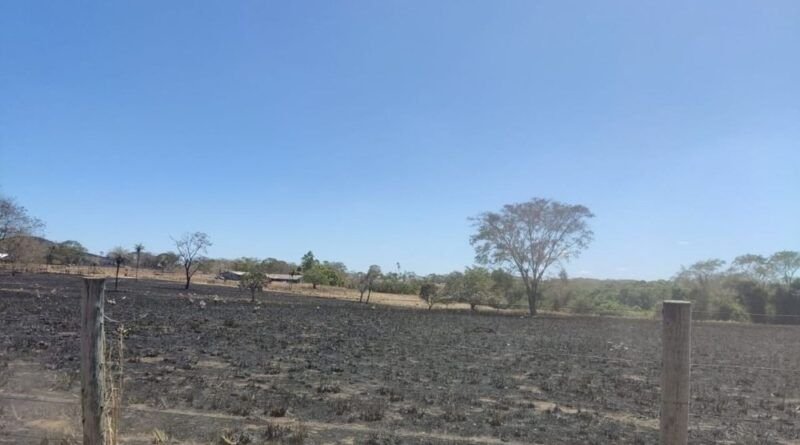 Homem é preso suspeito de provocar incêndio em fazenda e multado em R$ 459 mil no Tocantins
