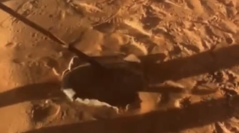 Polícia investiga vídeo de arraia sendo espetada com lança em praia de Palmas; caso pode configurar crime ambiental