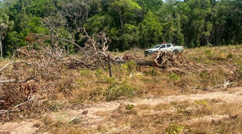 Suspeito de desmatar área de reserva legal é multado em R$ 690 mil