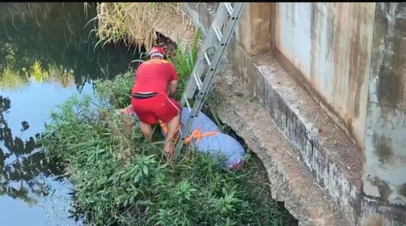 Empresário desaparecido é encontrado morto enrolado em tapete em Araguaína