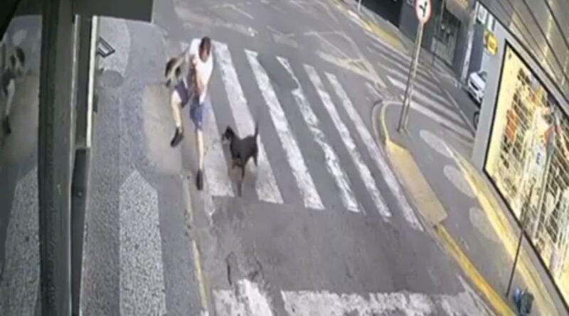 VÍDEO; PM salva homem e seus cães de ataque de Rottweiler enfurecido em Araguaína