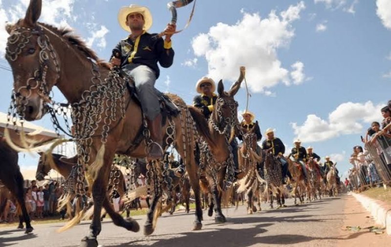 MP recomenda medidas para proteger animais durante Cavalgada de Araguaína; Município tem 10 dias para apresentar ações