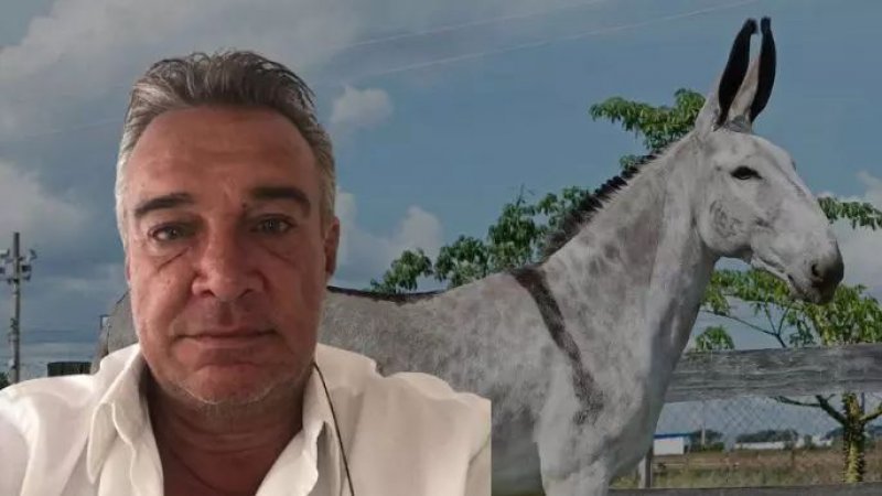 Morre Ricardo Abate Filho, referência nacional na criação do Jumento Pêga